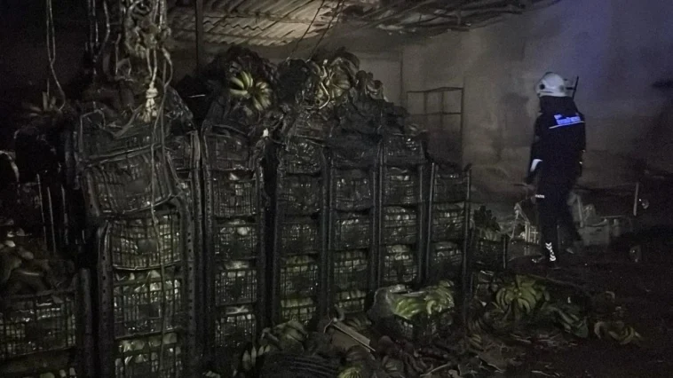 Alanya'da muz sarartma tesisinde yangın