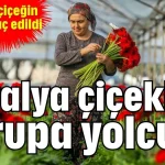 Antalya çiçekleri Avrupa yolcusu