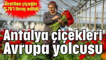 Antalya çiçekleri Avrupa yolcusu