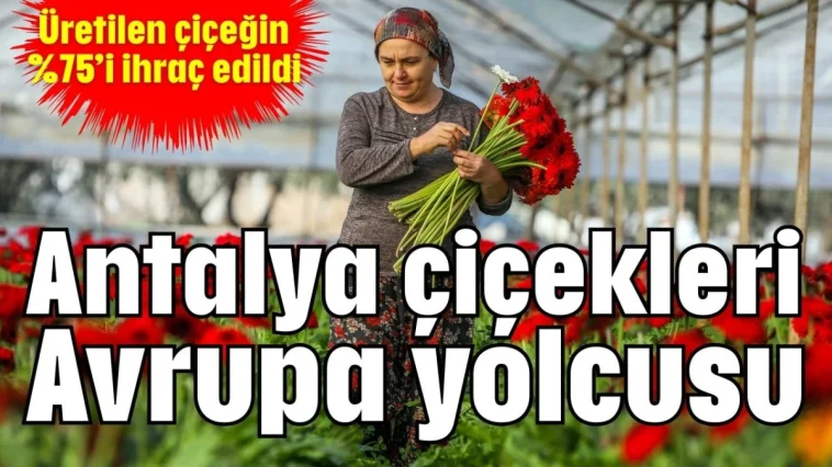 Antalya çiçekleri Avrupa yolcusu