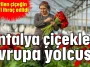 Antalya çiçekleri Avrupa yolcusu