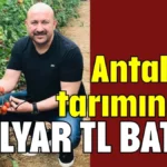 Antalya tarımında 1 milyar TL battı!
