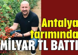 Antalya tarımında 1 milyar TL battı!