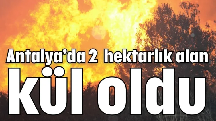 Antalya’da 2 hektarlık alan kül oldu
