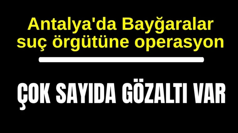 Antalya'da Bayğaralar suç örgütüne operasyon! Çok sayıda gözaltı var