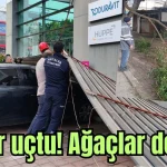 Antalya'da çatılar uçtu! Ağaçlar devrildi