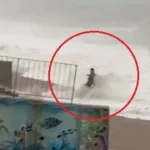 Antalya’da dev dalgaların arasında son anda kurtuldu