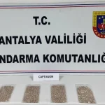 Antalya’da jandarmadan uyuşturucu darbesi