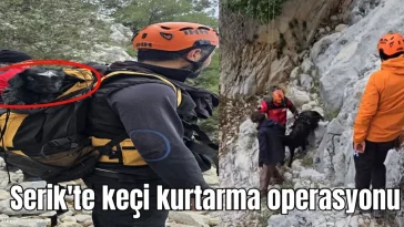 Antalya'da keçi kurtarma operasyonu