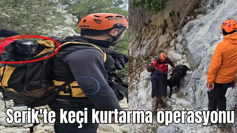 Antalya'da keçi kurtarma operasyonu