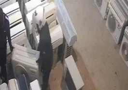 Antalya’da klima hırsızları tutuklandı