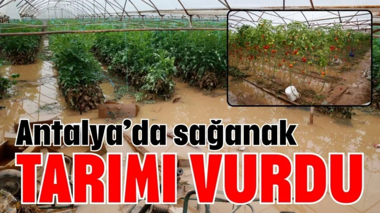 Antalya’da sağanak tarımı vurdu