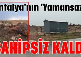 Antalya'nın 'Yamansaz'ı sahipsiz kaldı