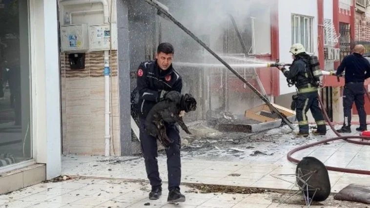 Atölyedeki yangında 4 köpeği itfaiye erleri kurtardı