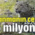 Avlanmanın cezası 45 milyon TL