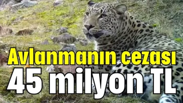 Avlanmanın cezası 45 milyon TL