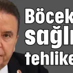 Böcek'in sağlığı tehlikede