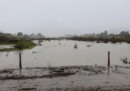CHP’den Boğaçayı uyarısı