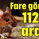 Fare gördü! 112’yi aradı