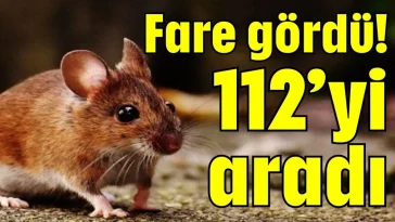 Fare gördü! 112’yi aradı