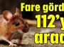 Fare gördü! 112’yi aradı