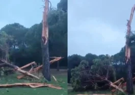 Golf sahasına düşen yıldırım ağacı parçalara ayırdı