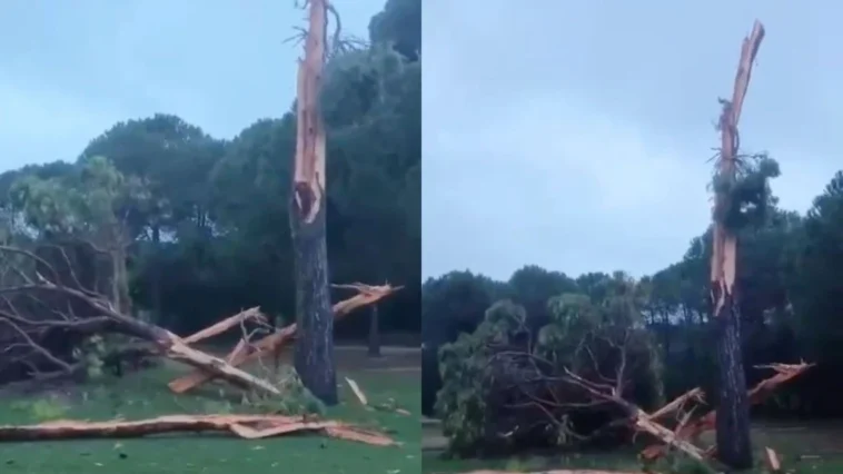 Golf sahasına düşen yıldırım ağacı parçalara ayırdı