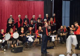 Her yöreden türkülerle unutulmaz bir gece