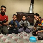 Hortum anne köpeği aldı, yavrular kurtarıldı