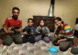 Hortum anne köpeği aldı, yavrular kurtarıldı