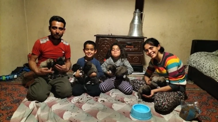 Hortum anne köpeği aldı, yavrular kurtarıldı