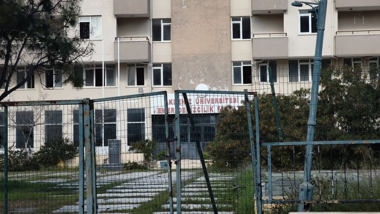 image_750x_6965d6b7b1d77