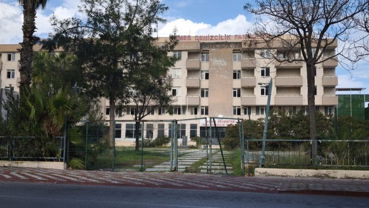 image_750x_6965d6ca4dc4c