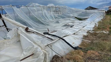 Kaş'ta fırtınadan seralar zarar gördü, ağaçlar devrildi
