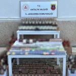 Kepez’de kaçak alkol operasyonu