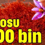 Kilosu 900 bin TL