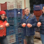 Korkuteli'nden nar ihracatı başladı