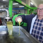 Kumluca’da zeytinyağında bereketli sezon