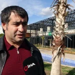 Musayev’den Kemer’deki bıçaklı saldırı davasında çarpıcı açıklama