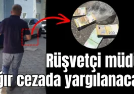 Rüşvetçi müdür ağır cezada yargılanacak