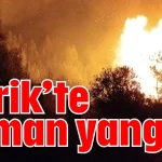 Serik’te orman yangını