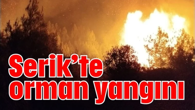Serik’te orman yangını