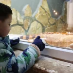 Soğuk günlerde sıcak önlemler