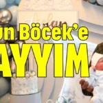 Torun Böcek’e kayyım