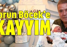 Torun Böcek’e kayyım