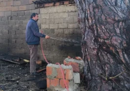 Yangının eve sıçramaması için alevlere hortumlarla müdahale ettiler