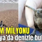Yarım milyonu Antalya'da denizle buluştu