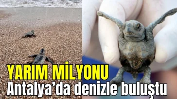 Yarım milyonu Antalya'da denizle buluştu