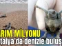 Yarım milyonu Antalya'da denizle buluştu
