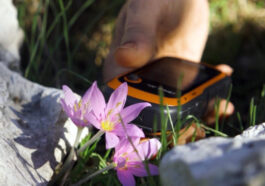 GPS verileri incelendi; orkidelerde kaçak söküm alarmı